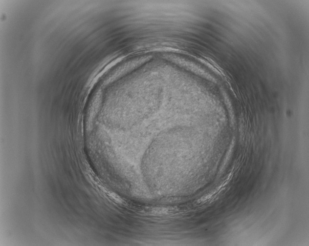 X0000060580790200512011731