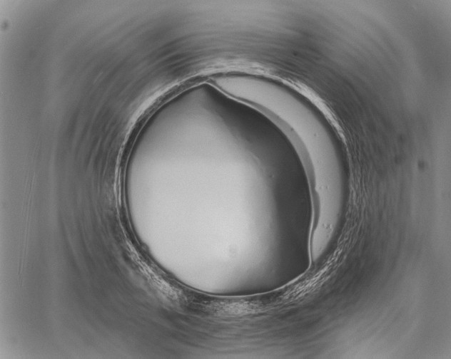 X0000060580791200512011731