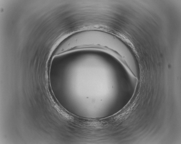 X0000060580792200512011731