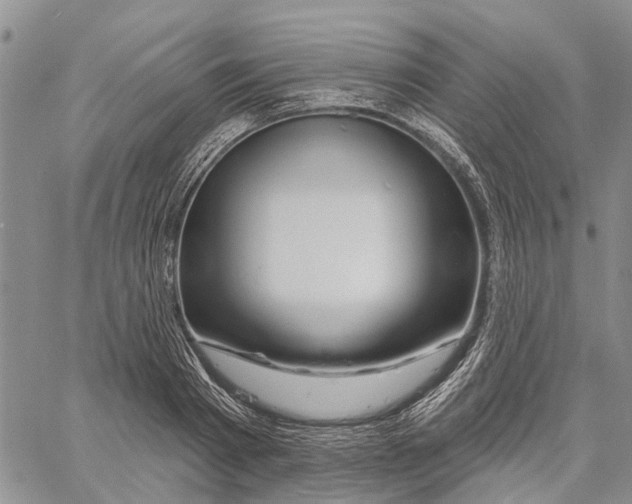 X0000060580793200512011731