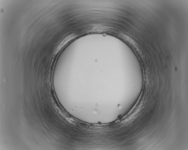 X0000060580794200512011731