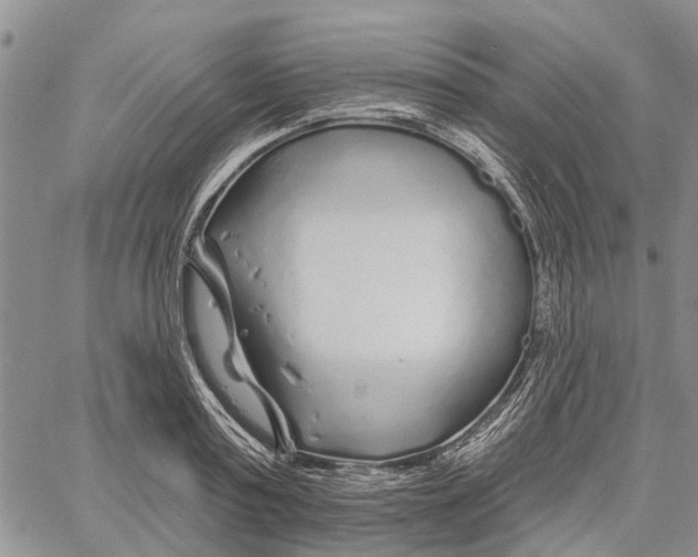 X0000060580795200512011731