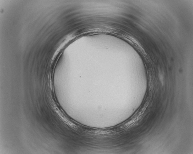 X0000060580796200512011731