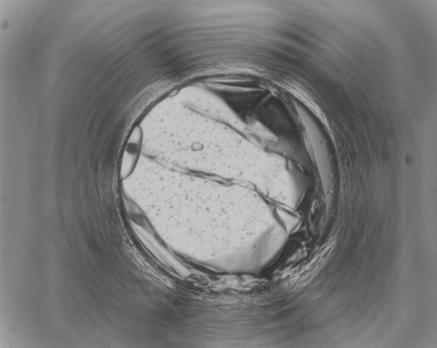 X0000060580797200512011731