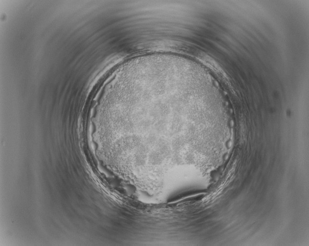 X0000060580798200512011731