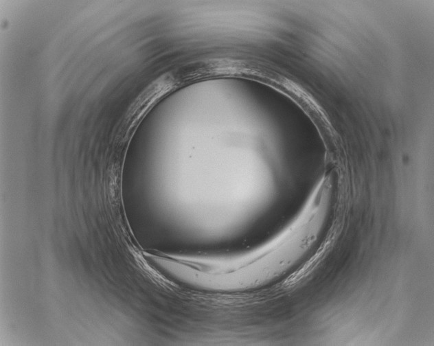 X0000060580801200512011731