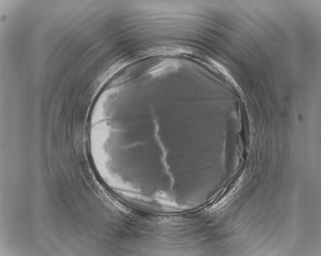 X0000060580802200512011731