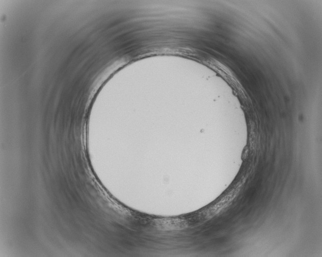 X0000060580804200512011731