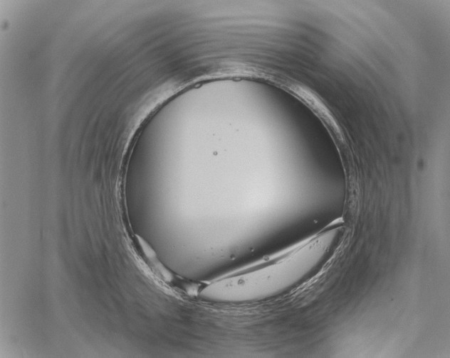 X0000060580805200512011731