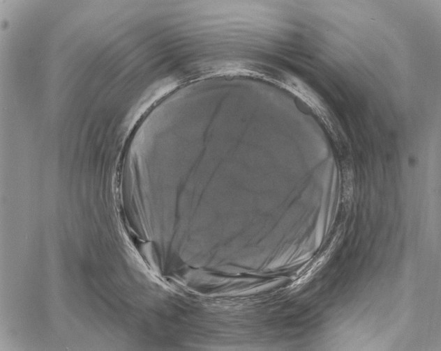 X0000060580806200512011731