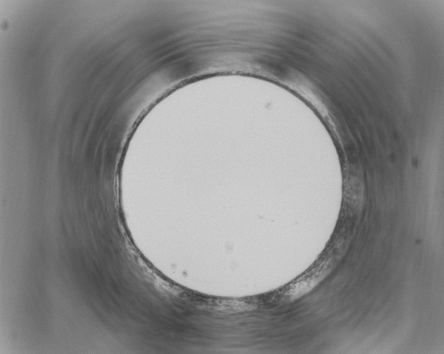 X0000060580807200512011731