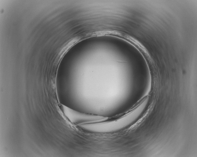 X0000060580809200512011731