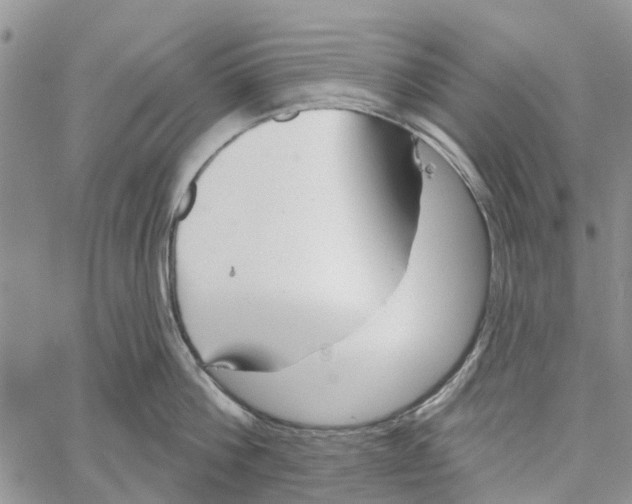 X0000060580812200512011731