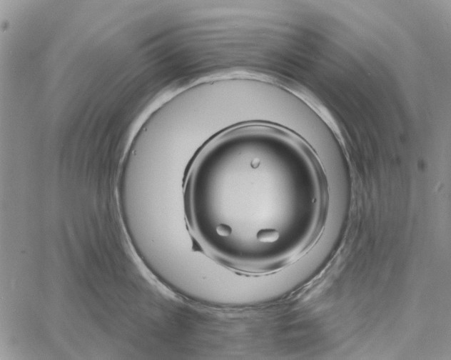 X0000060580813200512011731