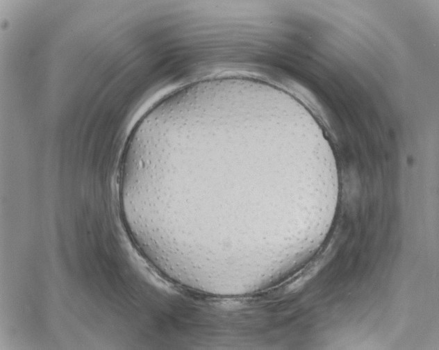 X0000060580814200512011731