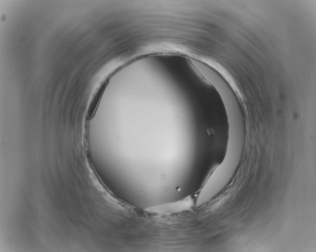 X0000060580815200512011731