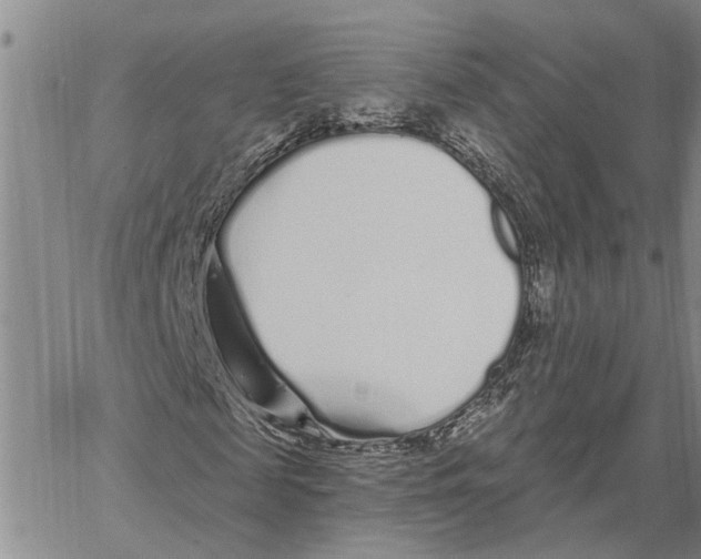 X0000060580817200512011730