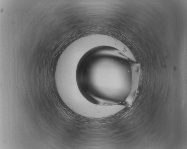 X0000060580818200512011730