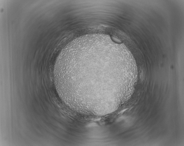 X0000060580819200512011730