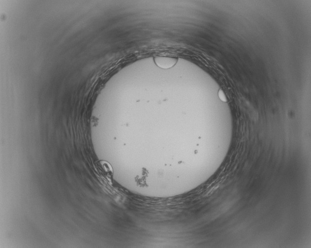 X0000060580820200512011730