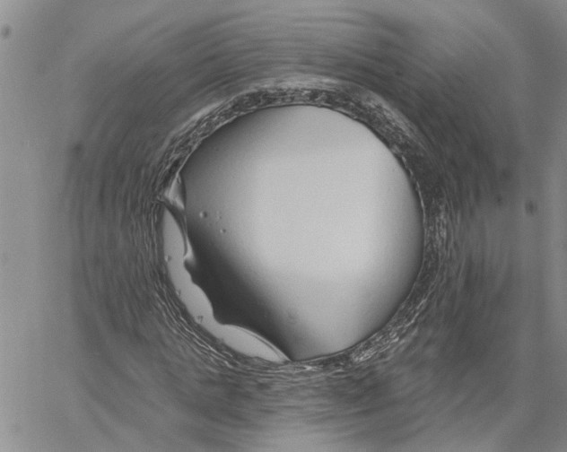 X0000060580821200512011730