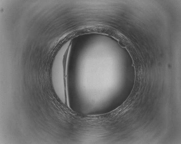 X0000060580822200512011730