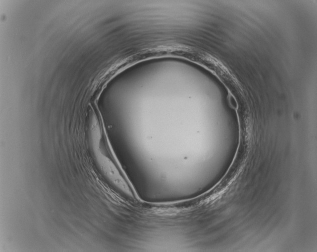 X0000060580825200512011730