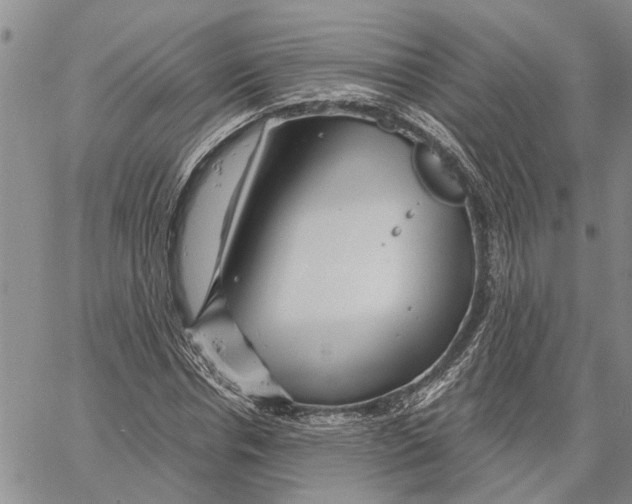 X0000060580826200512011730