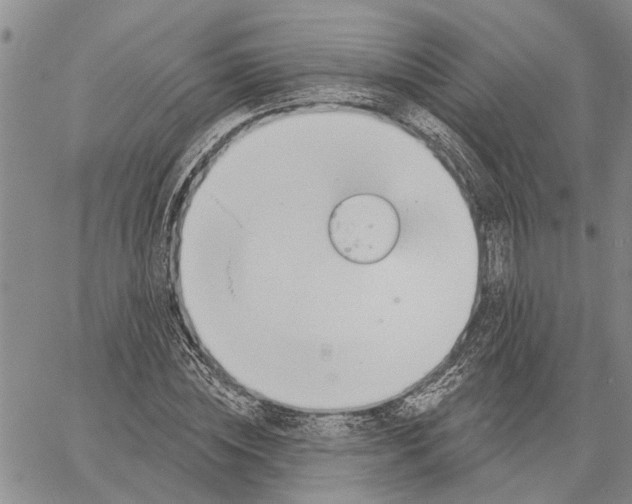 X0000060580828200512011730