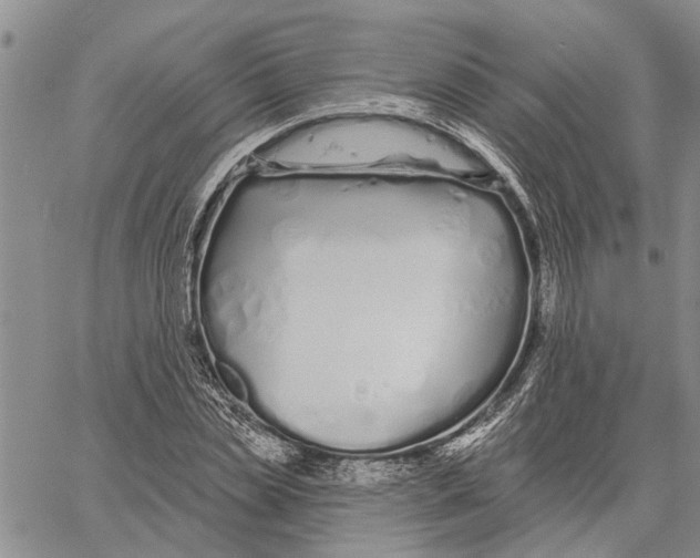 X0000060580829200512011730