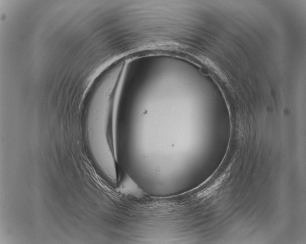 X0000060580830200512011730