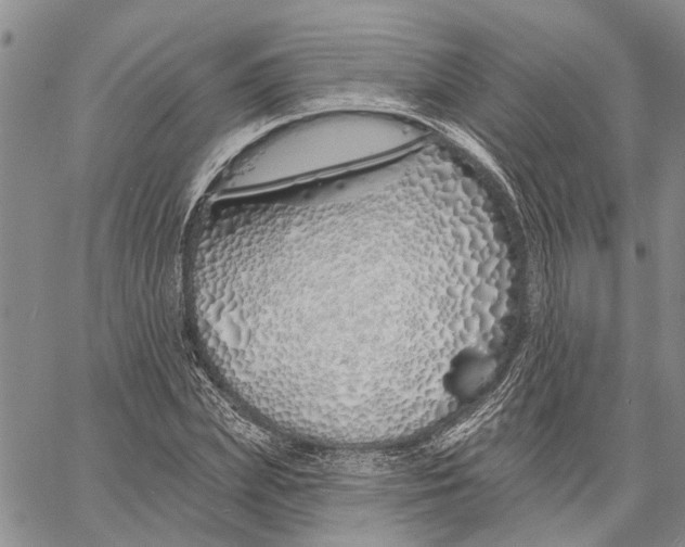 X0000060580831200512011730