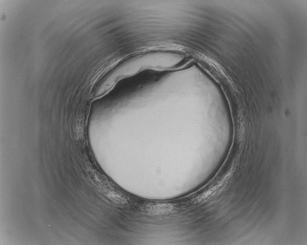 X0000060580833200512011731