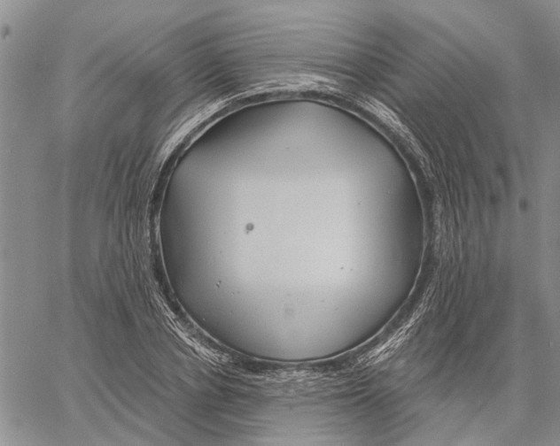 X0000060580834200512011731