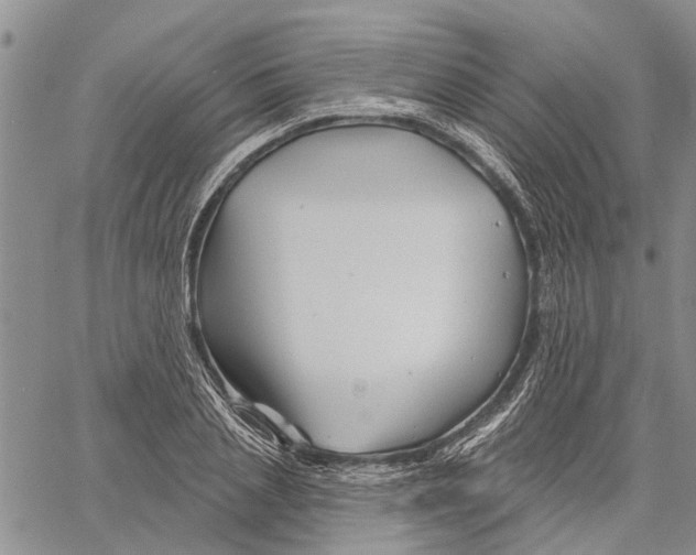 X0000060580837200512011731