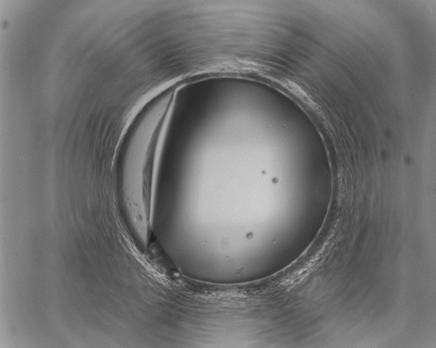 X0000060580838200512011731