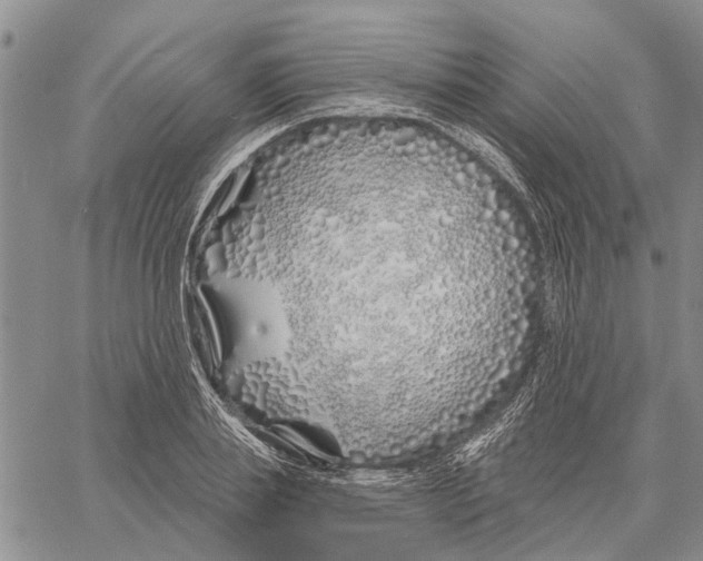 X0000060580839200512011731