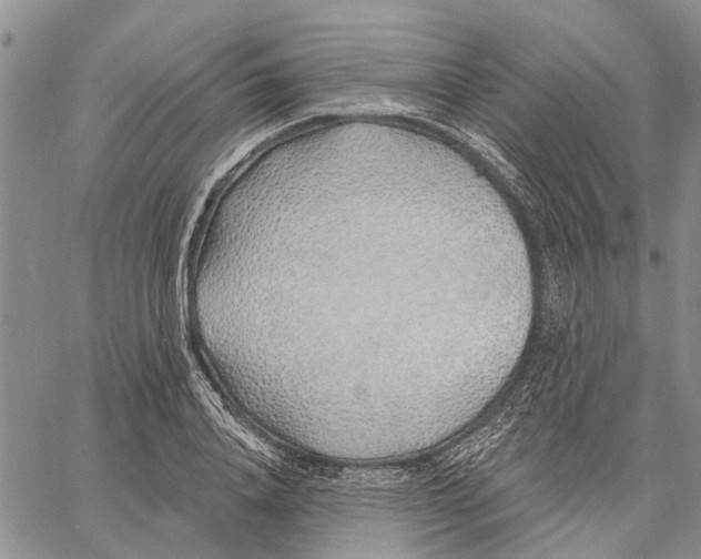 X0000060580840200512011731