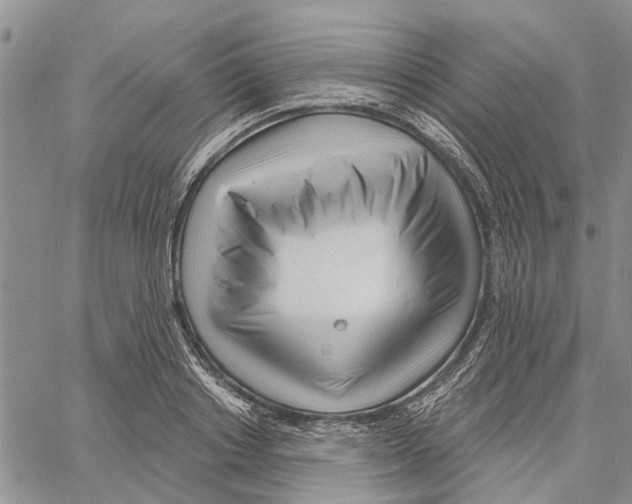 X0000060580842200512011731