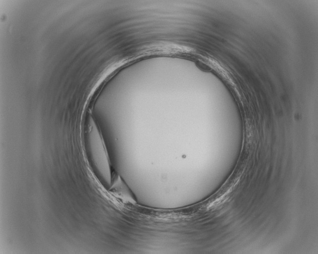 X0000060580843200512011731