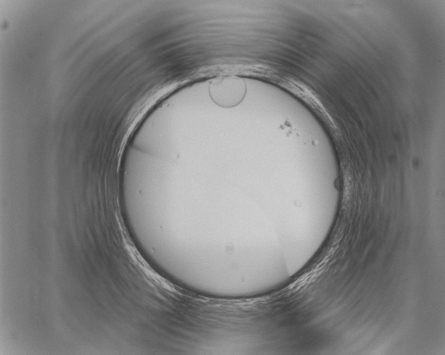 X0000060580844200512011731