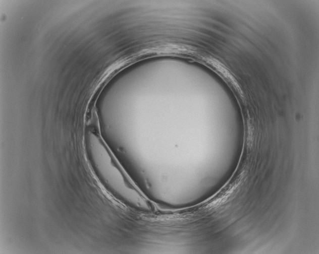 X0000060580845200512011731