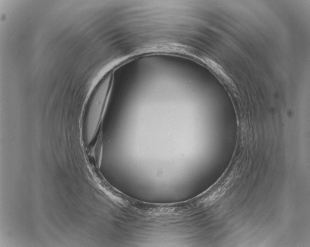 X0000060580846200512011731