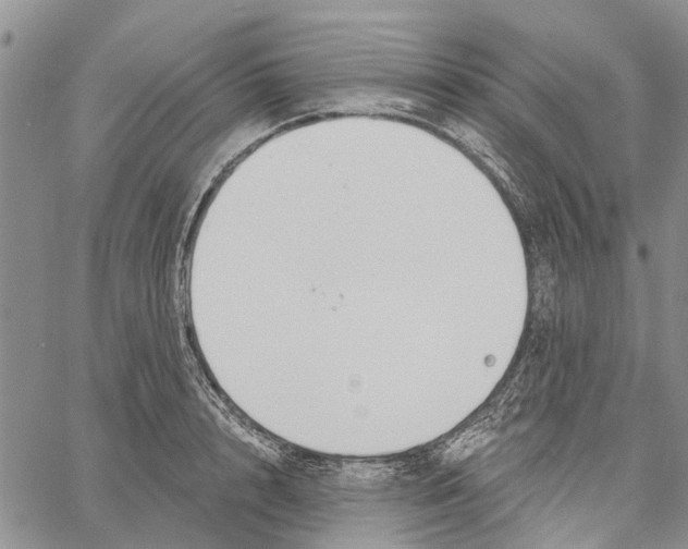 X0000060580848200512011731