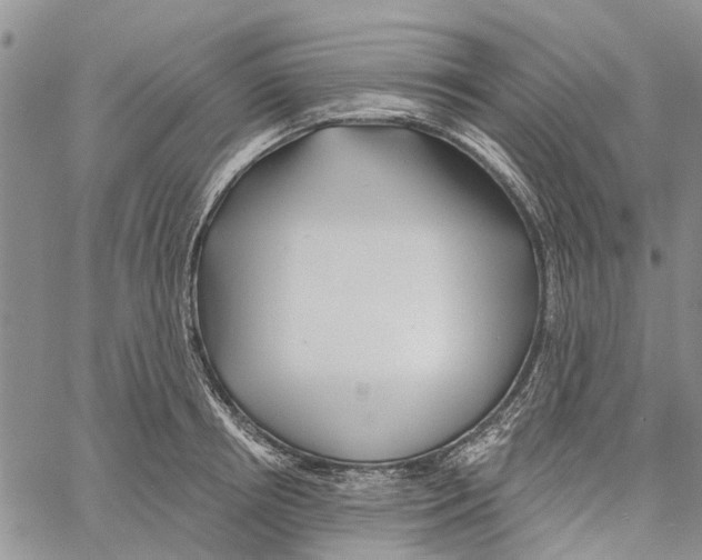 X0000060580850200512011731