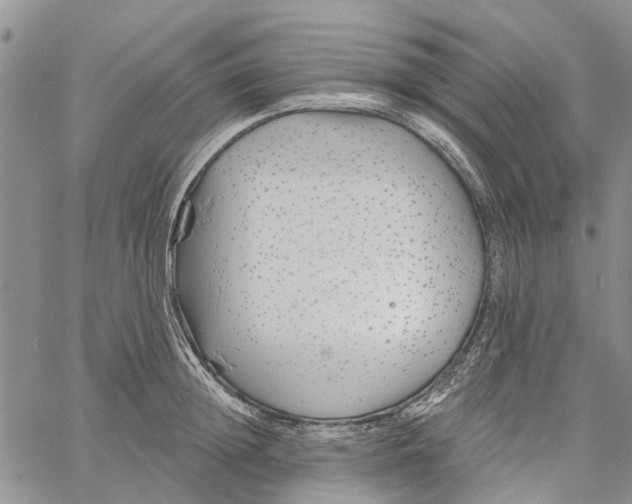 X0000060580852200512011731