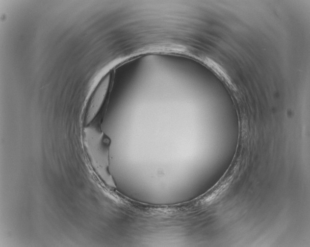 X0000060580854200512011731