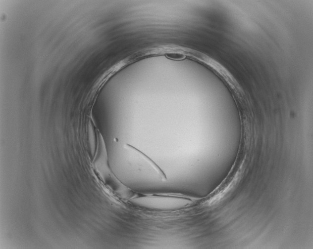 X0000060580857200512011731