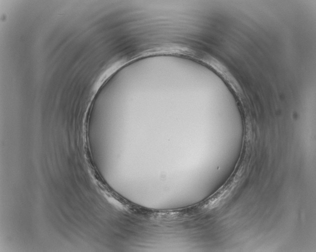 X0000060580858200512011731