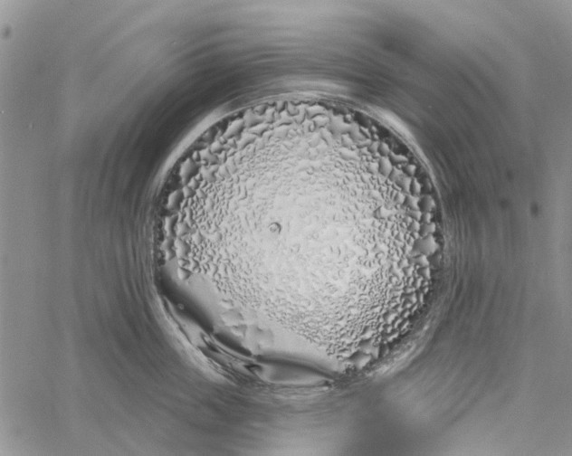 X0000060580859200512011731